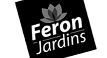 Feron1